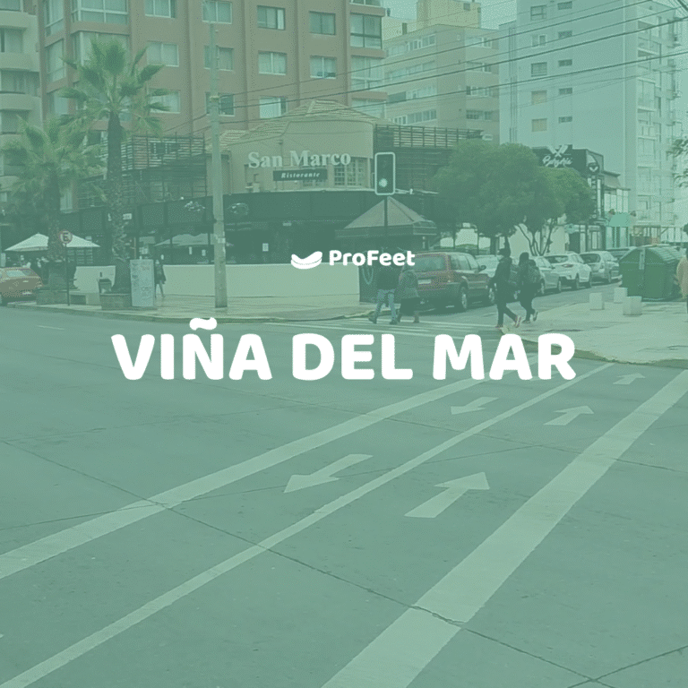 sucursal viña del mar