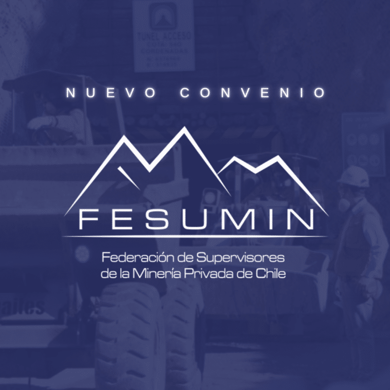 FESUMIN